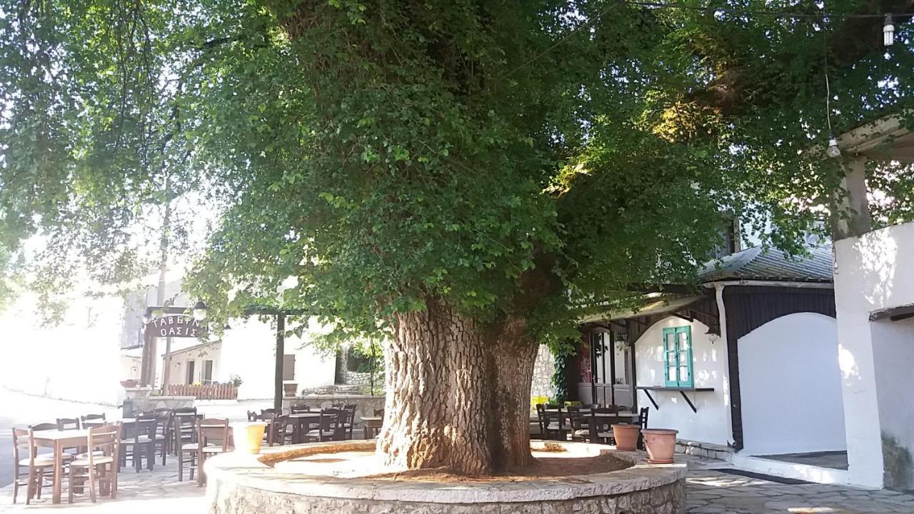 Elm Tree Dream Catcher Strinilas Ngoại thất bức ảnh